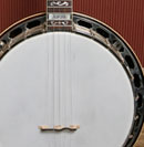 Aurora Model Banjo Back