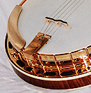 Celebrity Model Banjo Front
