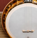 Rocky Hill Model Banjo Back
