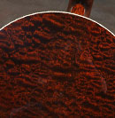 Stony Creek Model Banjo Neck